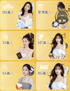 BCR娛樂城真人視訊系統
