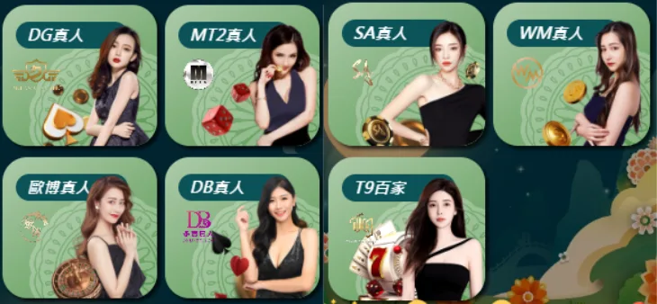 金大發娛樂城真人視訊系統