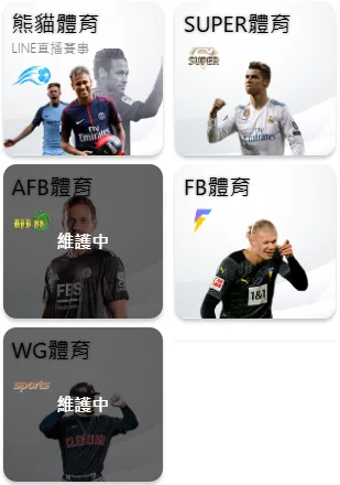 滿天星娛樂城體育系統