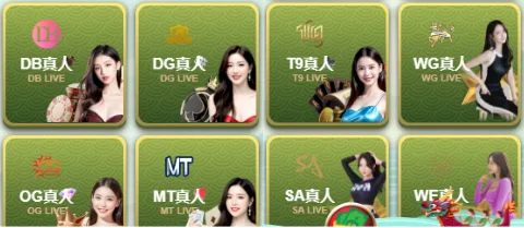 樂遊娛樂城真人視訊系統
